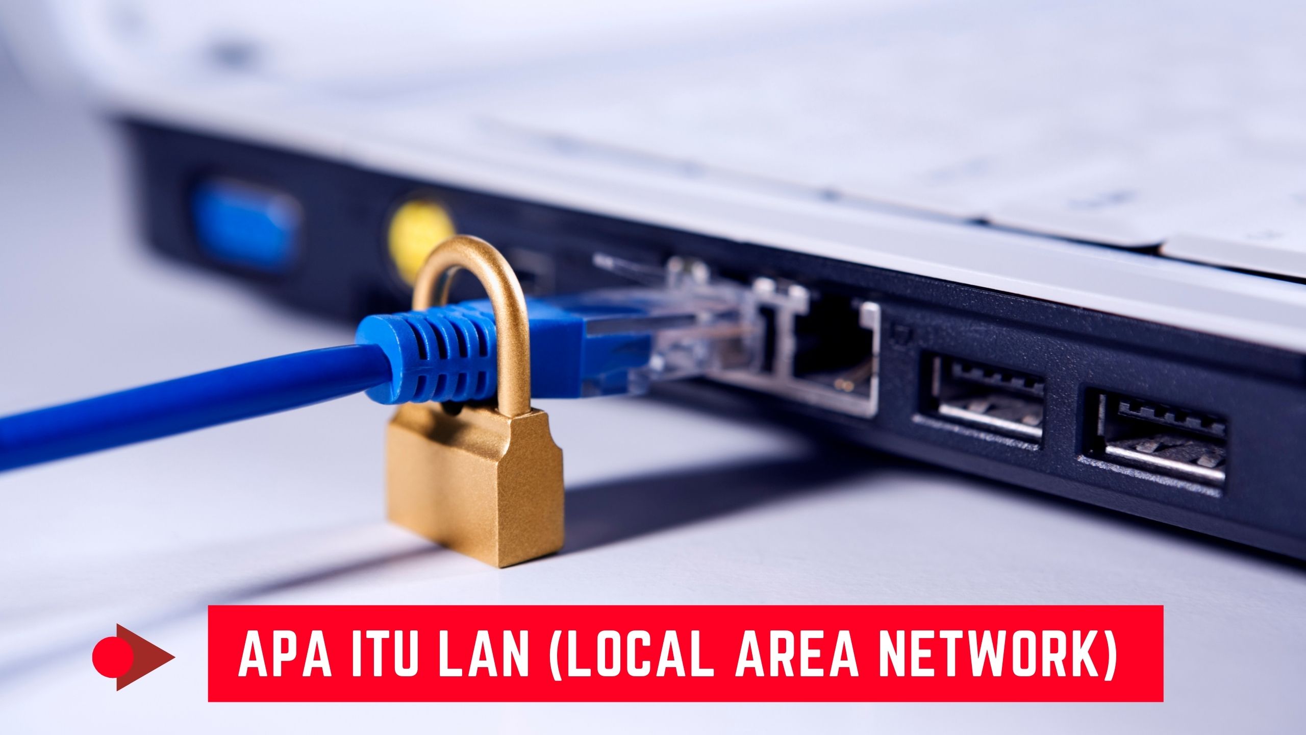 Apa itu LAN (Local Area Network)